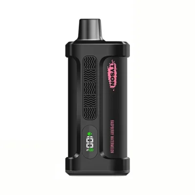 Tyson 2.0 Iron Mike 15000 Hits Raspberry Watermelon Disposable Vape